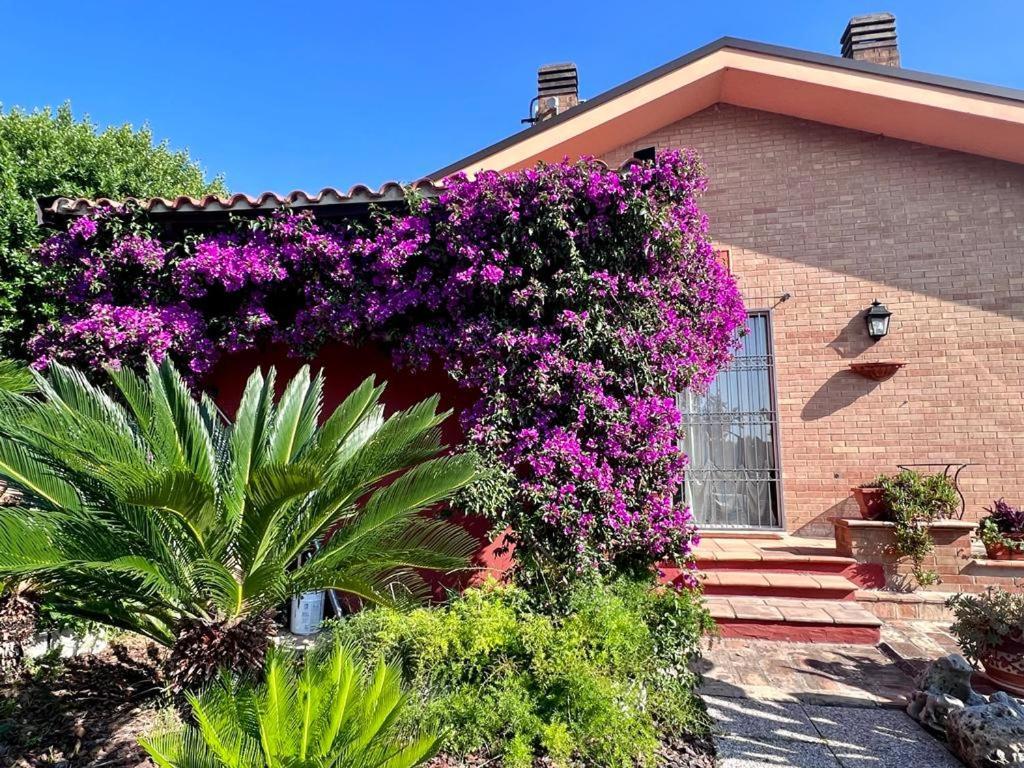 B&B La Casa Di Era Porto San Giorgio Εξωτερικό φωτογραφία